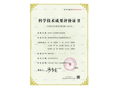 勝動(dòng)集團(tuán)公司20V190 大功率燃?xì)獍l(fā)電機(jī)組通過國(guó)際先進(jìn)水平鑒定